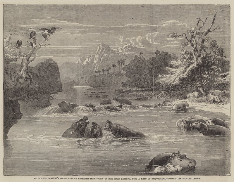 Intrattenimento sudafricano del signor Gordon Cumming, vista sul fiume Limpopo, con un branco di ippopotami da Richard Principal Leitch