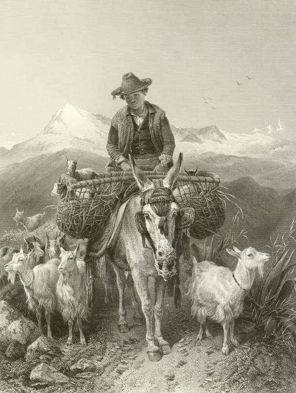 Il capraio di Granada da Richard Ansdell