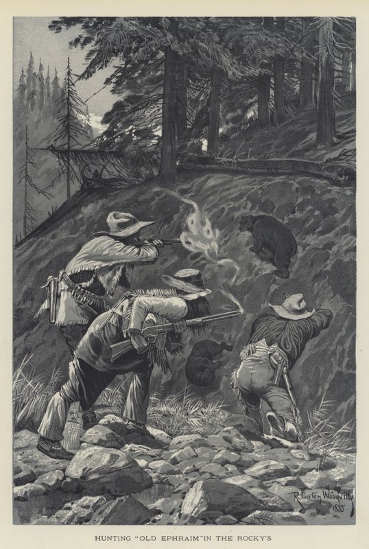 Caccia al vecchio Ephraim nelle Rocky Mountains da Richard Caton Woodville junior