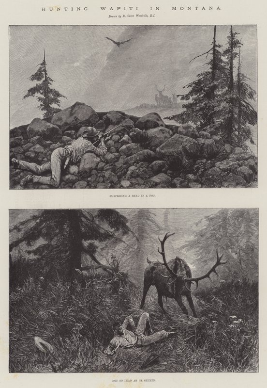 Caccia al Wapiti in Montana da Richard Caton Woodville junior