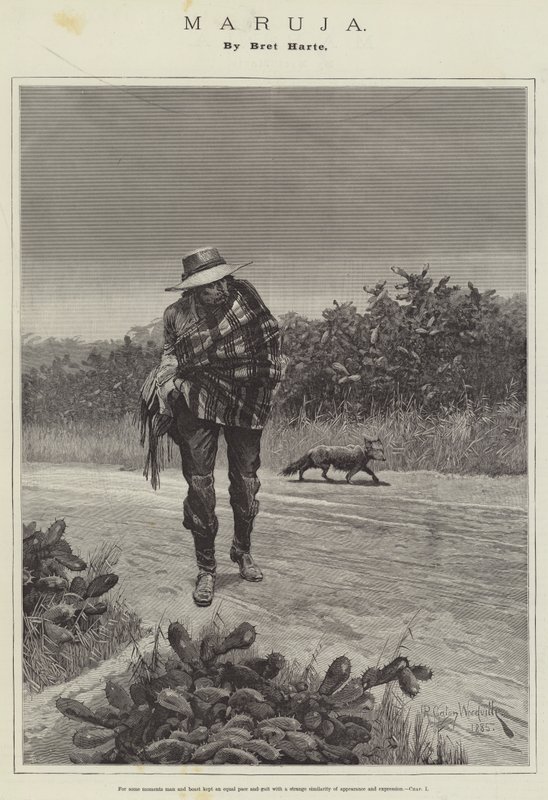 Maruja, di Bret Harte da Richard Caton Woodville junior