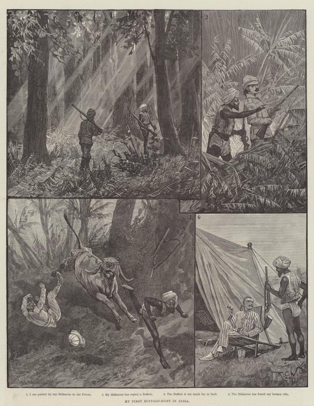 La mia prima caccia al bufalo in India da Richard Caton Woodville junior