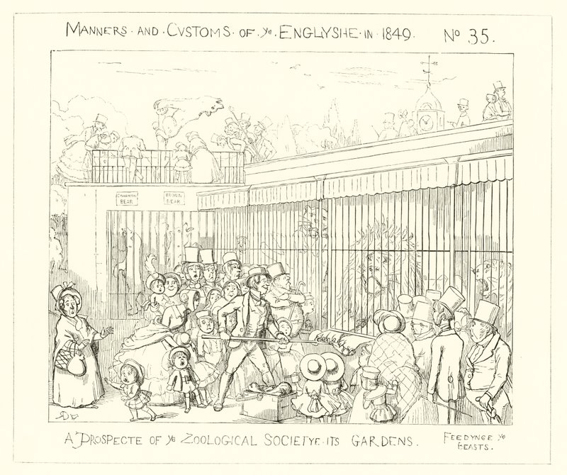 1849, Una prospettiva dei Giardini della Società Zoologica da Richard Doyle