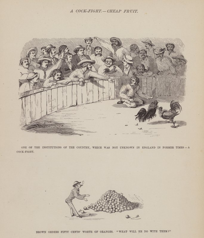 Pagina dal Tour americano dei signori Brown, Jones e Robinson da Richard Doyle