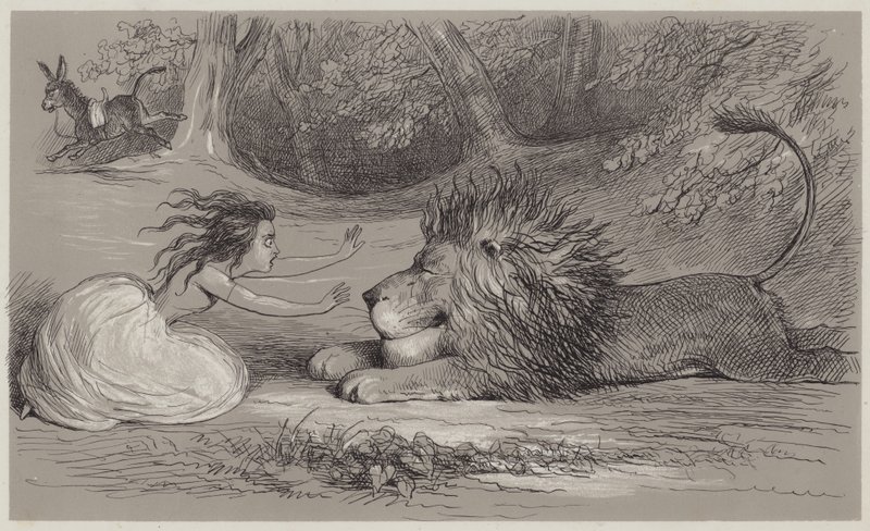 Una e il leone da Richard Doyle