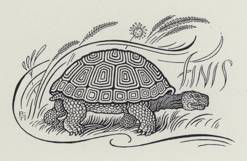 La lepre e la tartaruga (incisione) da Richard Heighway