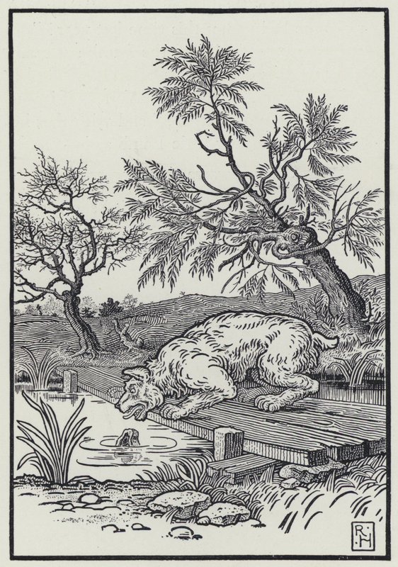 Il cane e l