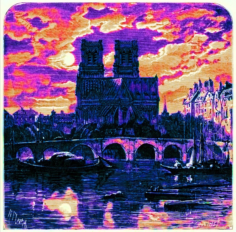 Cattedrale di Notre Dame, illustrazione da 