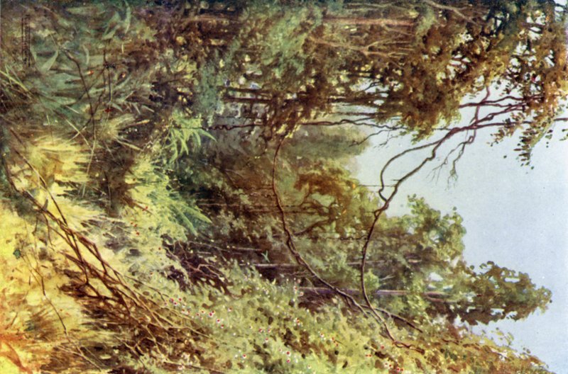 Una radura nella foresta da Robert George Talbot Kelly