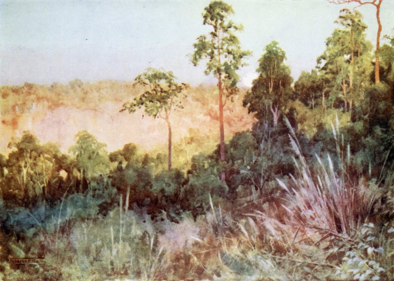 Giungla sulla linea Lashio da Robert George Talbot Kelly