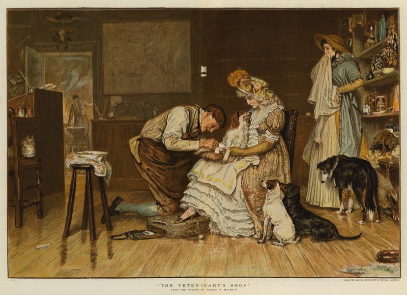Il negozio del veterinario da Robert Walker Macbeth