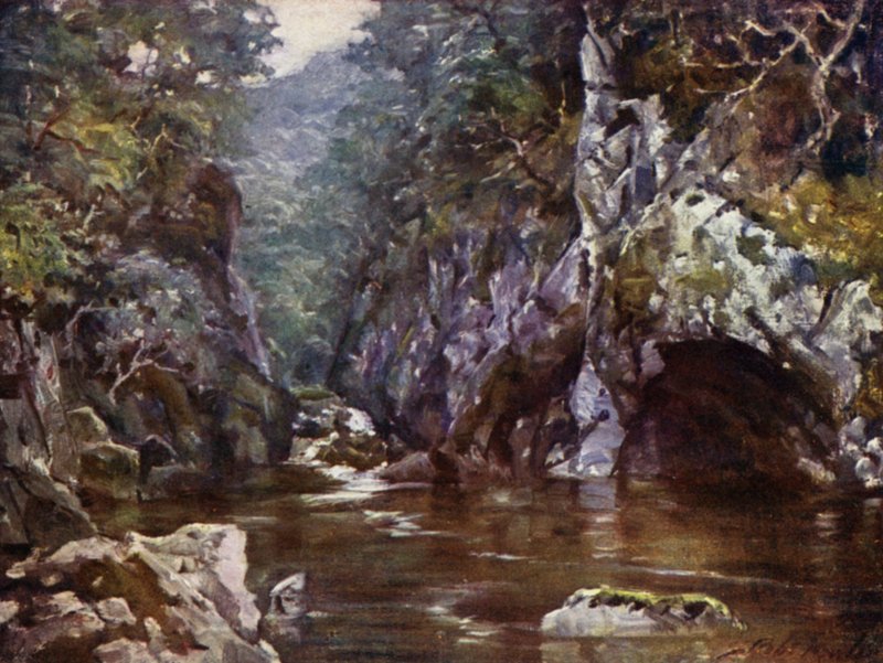 Fairy Glen, Bettws-y-Coed da Robert (after) Fowler