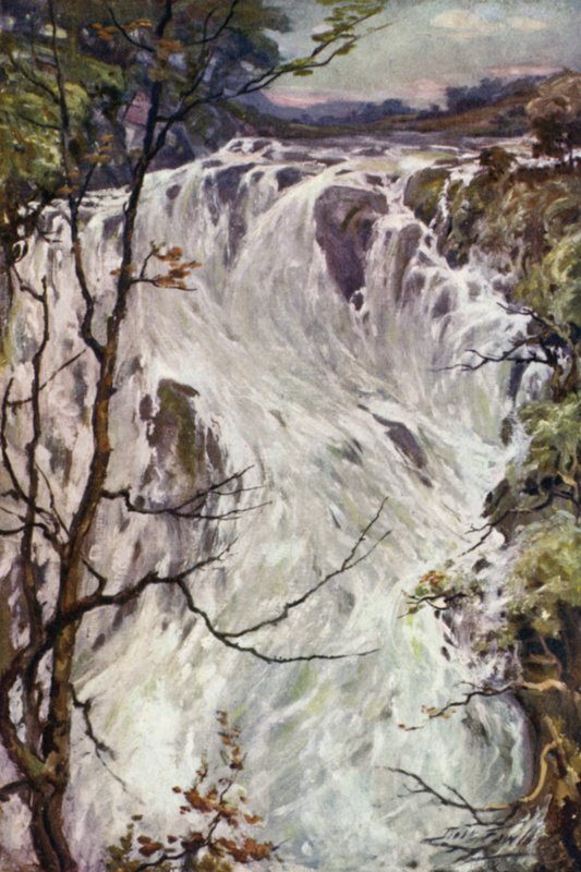 Cascate Swallow, Bettws-y-Coed (litografia colorata) da Robert (after) Fowler