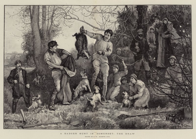 Caccia al tasso nel Somerset, il sorteggio da Robert Walker Macbeth