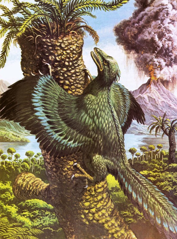 Archeotterige da Roger Payne