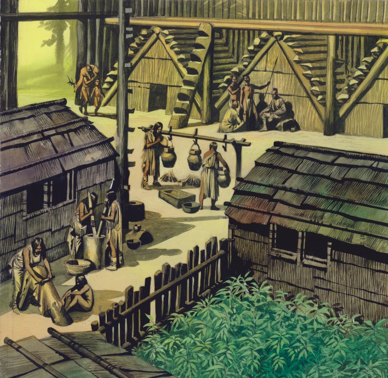 Campo indiano (gouache su carta) da Ron Embleton