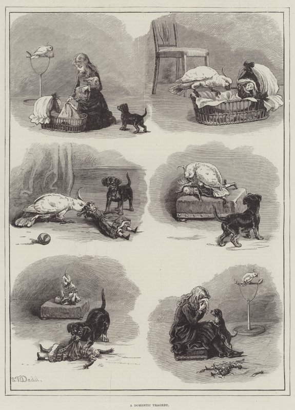 Una Tragedia Domestica da S.T. Dadd