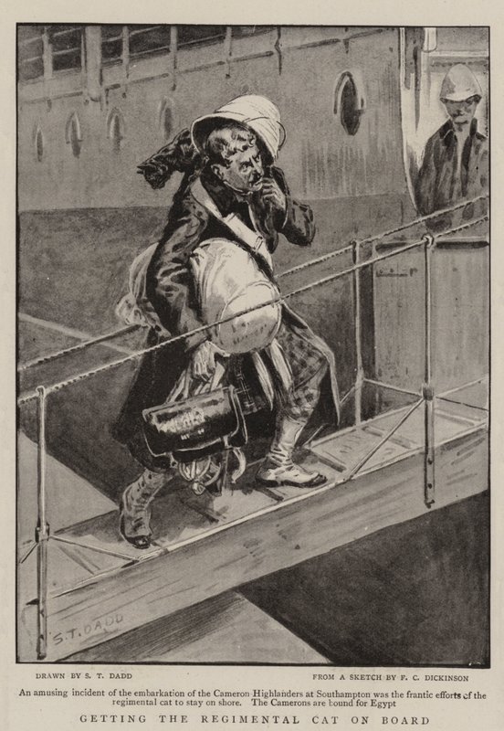 Imbarco del gatto del reggimento da S.T. Dadd