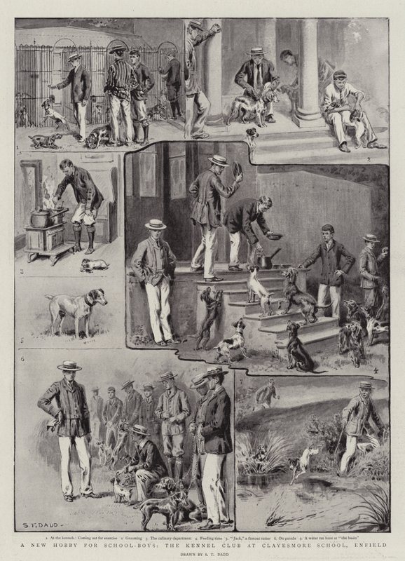Un nuovo hobby per i ragazzi di scuola, il Kennel Club alla Clayesmore School, Enfield da S.T. Dadd