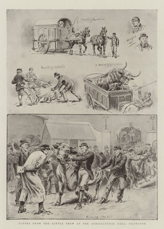 Scene dalla mostra del bestiame alla Agricultural Hall, Islington da S.T. Dadd