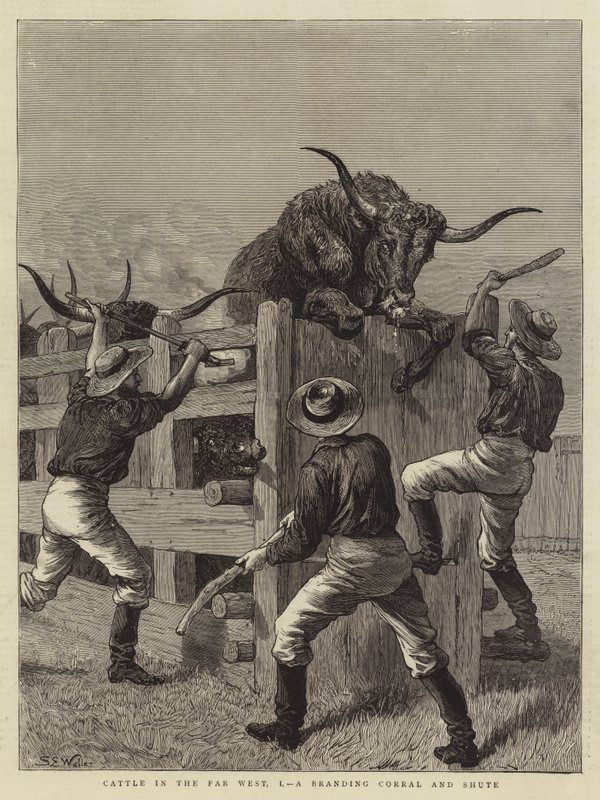 Bovini nel Far West, I, un recinto di marchiatura e Shute da Samuel Edmund Waller
