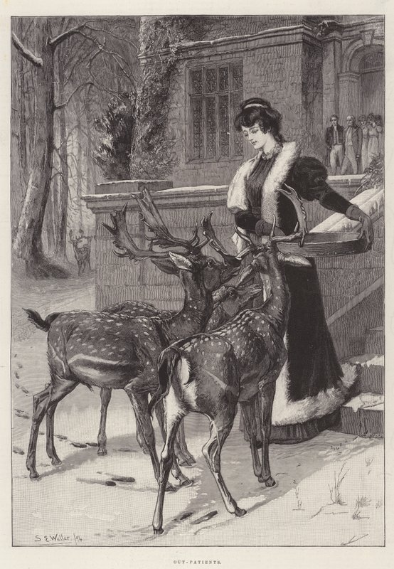 Pazienti esterni da Samuel Edmund Waller