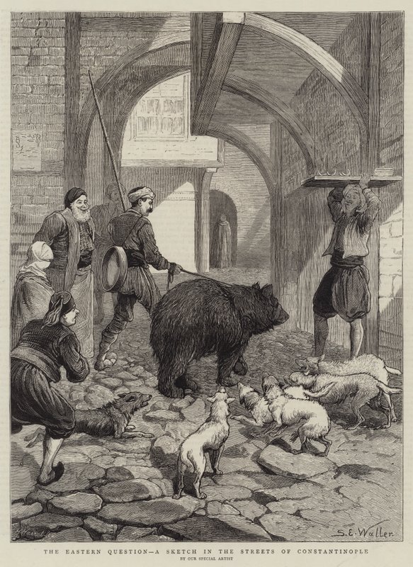 La Questione Orientale, uno Schizzo nelle Strade di Costantinopoli da Samuel Edmund Waller