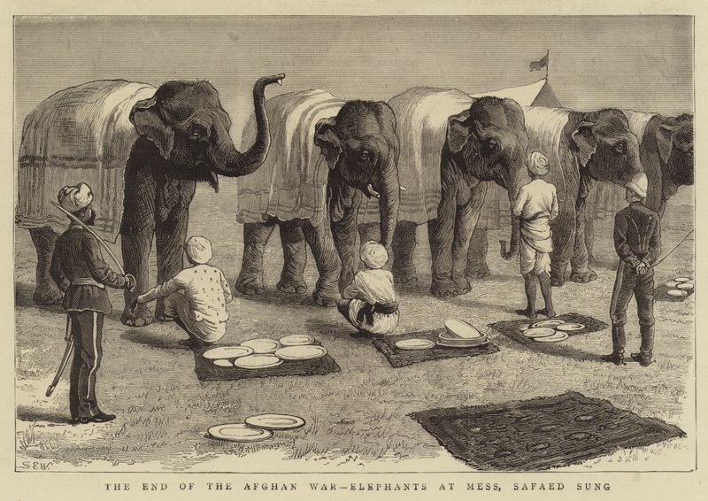 La fine della guerra afgana, elefanti a tavola, Safaed Sung da Samuel Edmund Waller