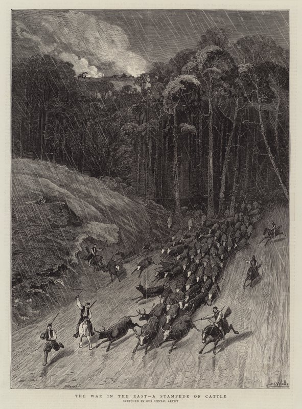La guerra in Oriente, una fuga di bestiame da Samuel Edmund Waller