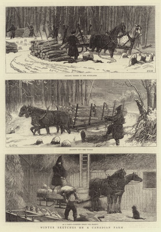 Schizzi Invernali in una Fattoria Canadese da Samuel Edmund Waller
