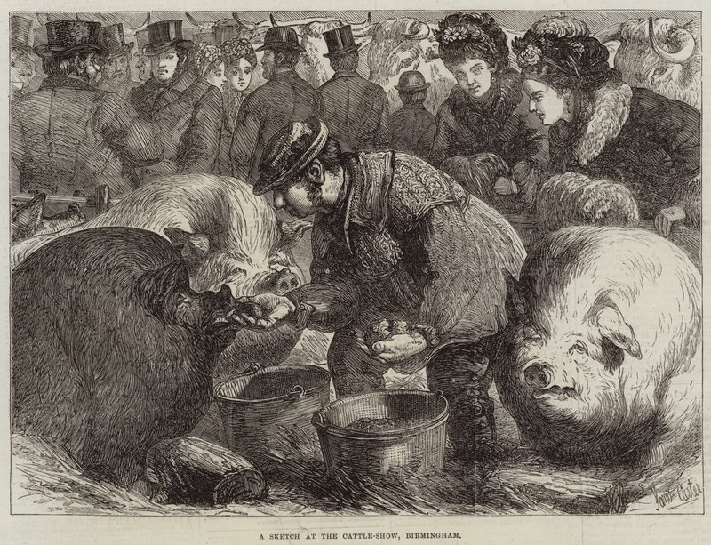Uno Schizzo alla Mostra del Bestiame, Birmingham da Samuel John Carter