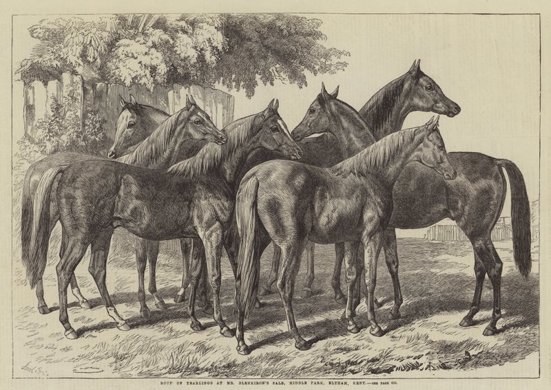Gruppo di puledri alla vendita di Mr Blenkiron, Middle Park, Eltham, Kent da Samuel John Carter