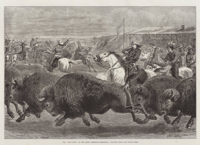 Il selvaggio West alla Grande Esposizione Americana, caccia al bisonte e al cervo Wapiti da Samuel John Carter