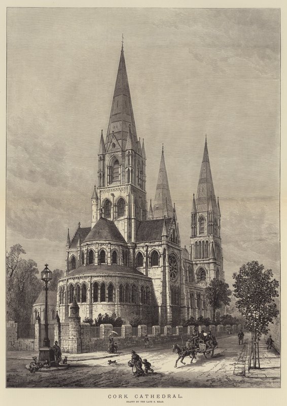Cattedrale di Cork da Samuel Read