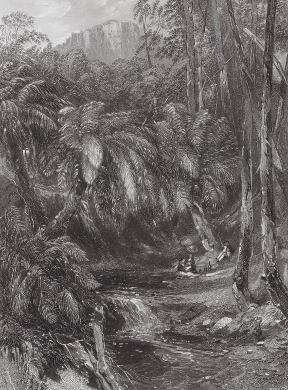 Australia: Una valle di felci da Samuel (after) Prout