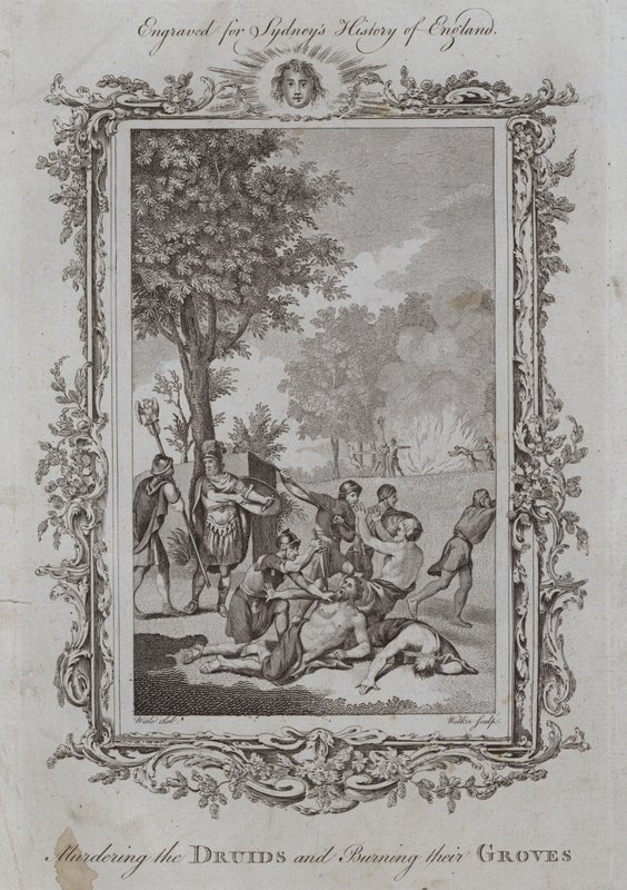 Massacro dei Druidi e Incendio dei Loro Boschi (incisione) da Samuel (after) Wale