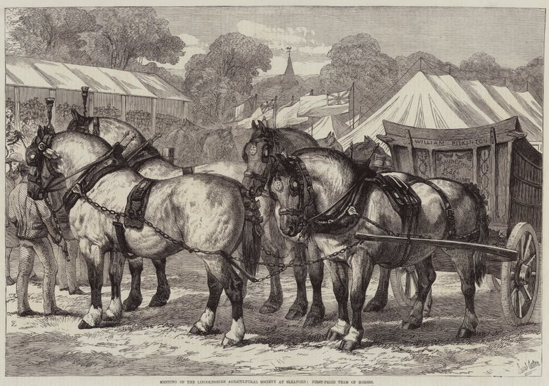 Riunione della Società Agricola del Lincolnshire a Sleaford, Squadra di Cavalli Vincitrice da Samuel John Carter