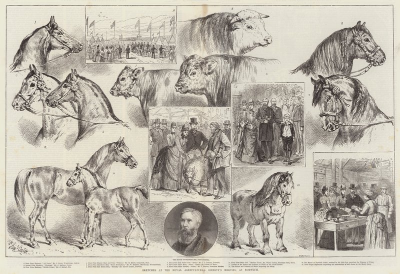 Schizzi alla Riunione della Royal Agricultural Society a Norwich da Samuel John Carter