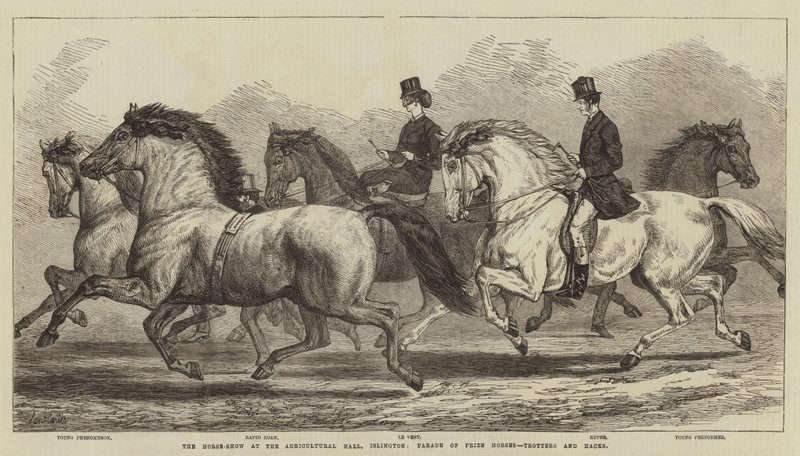 La mostra dei cavalli alla Agricultural Hall, Islington, parata di cavalli premiati, trottatori e hack da Samuel John Carter
