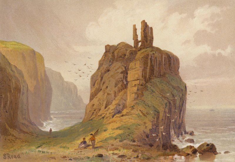 Nord dell