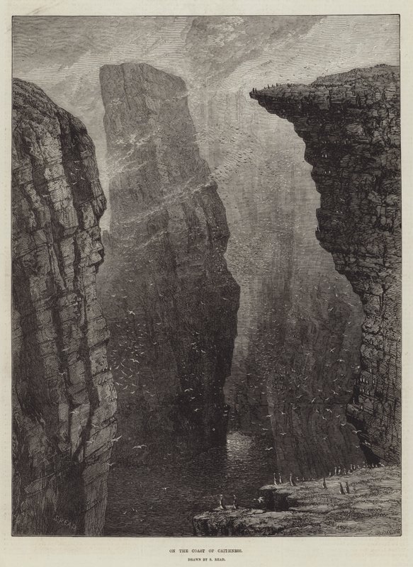 Sulla costa di Caithness da Samuel Read
