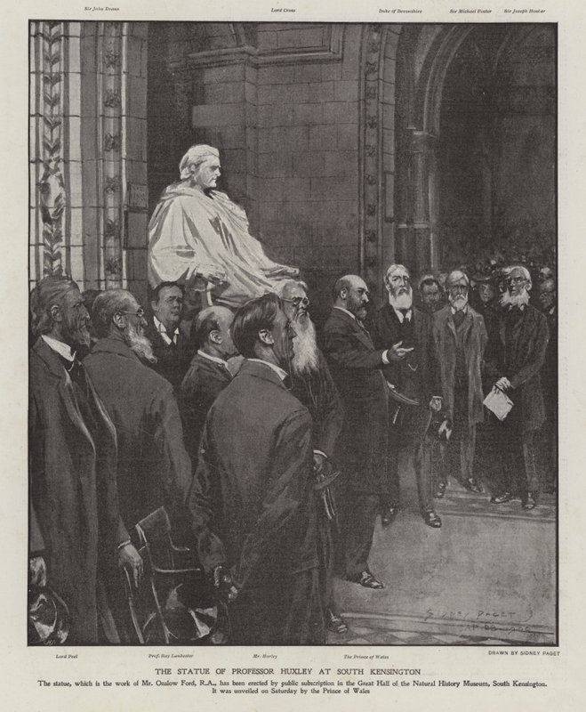 La Statua del Professor Thomas Henry Huxley nella Grande Sala del Museo di Storia Naturale, South Kensington, Londra da Sidney Paget