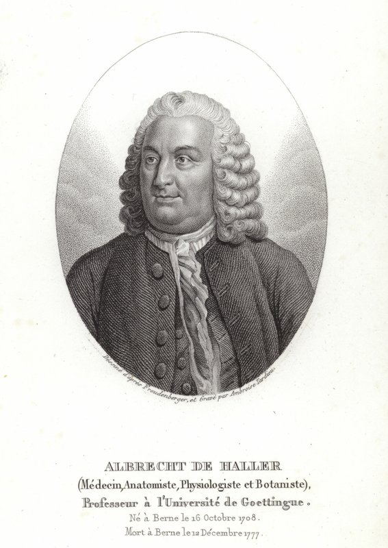 Albrecht von Haller da Sigmund Freudenberger
