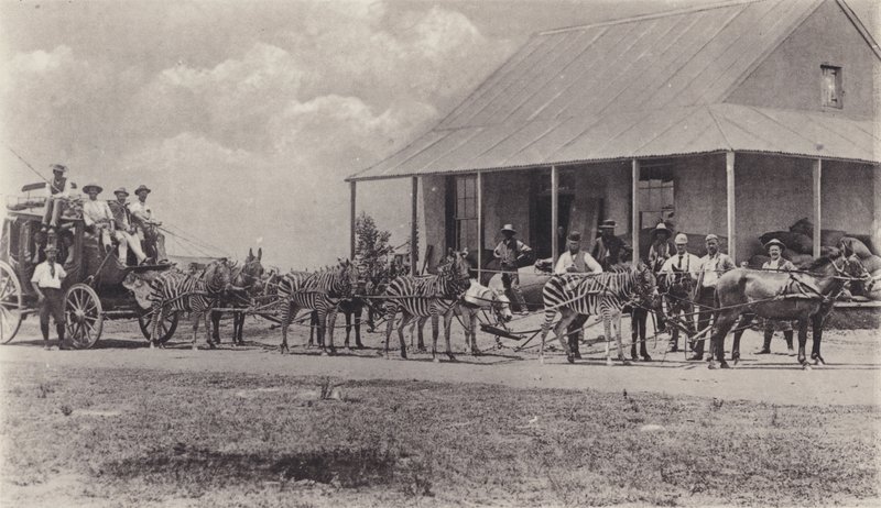 Un mezzo di trasporto innovativo, zebre che trainano la carrozza postale da South African Photographer