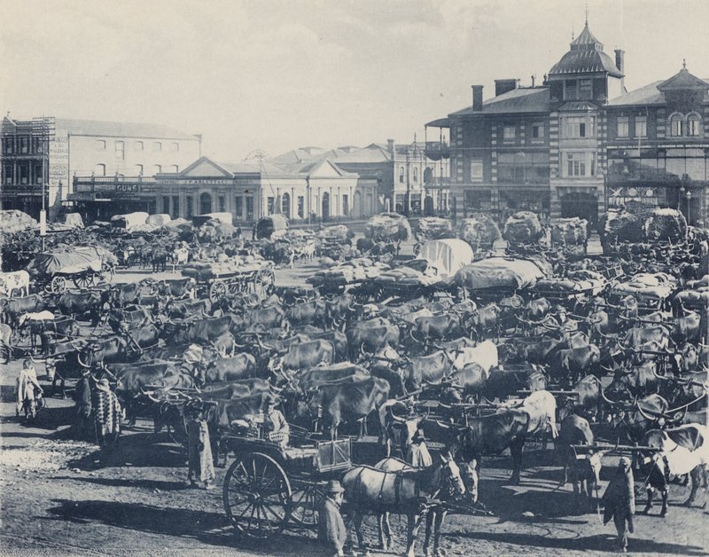 Mercato del mattino presto da South African Photographer