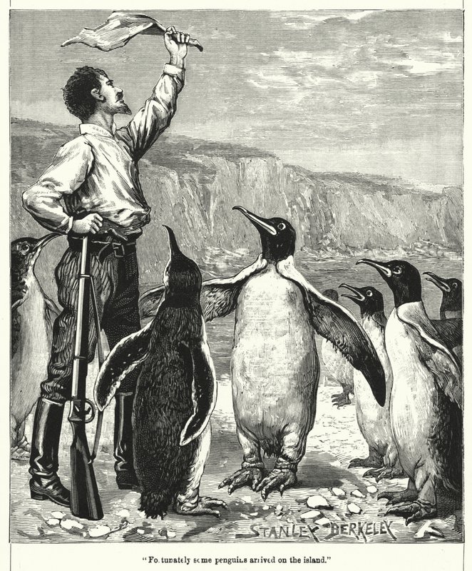 Fortunatamente alcuni pinguini arrivarono sull