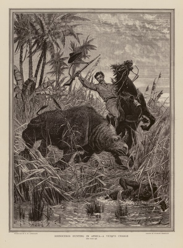 Caccia al rinoceronte in Africa da Stanley (after) Berkeley