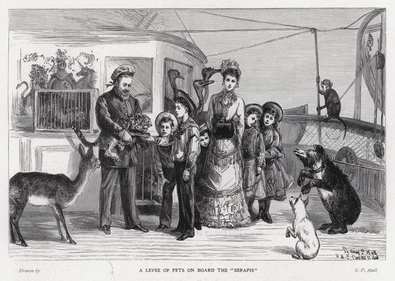Re Edoardo VII con animali selvatici catturati a bordo della nave da trasporto, il Serapis durante la sua visita in India da Sydney Prior (after) Hall