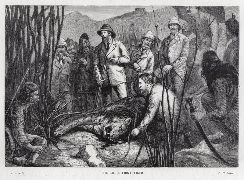 Re Edoardo VII con la tigre che ha ucciso da Sydney Prior (after) Hall
