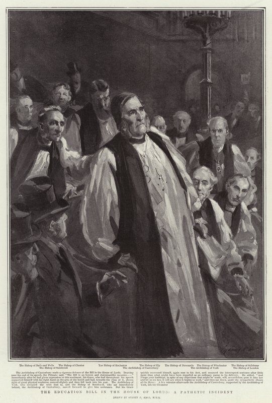 Il disegno di legge sull